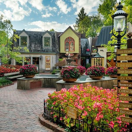 Bluebearry Patch Villa Gatlinburg Bagian luar foto