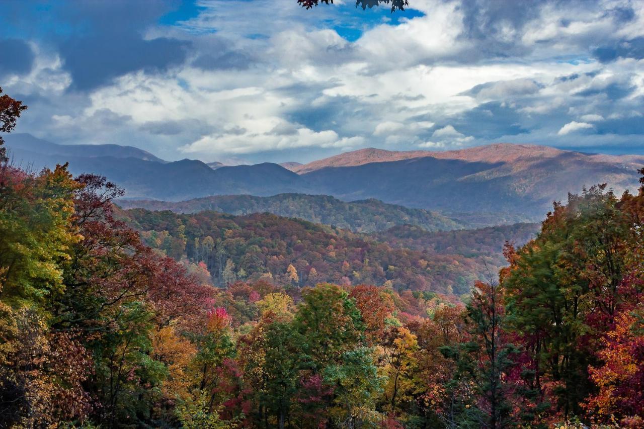 Bluebearry Patch Villa Gatlinburg Bagian luar foto