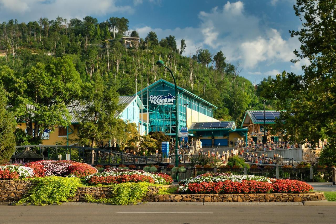 Bluebearry Patch Villa Gatlinburg Bagian luar foto