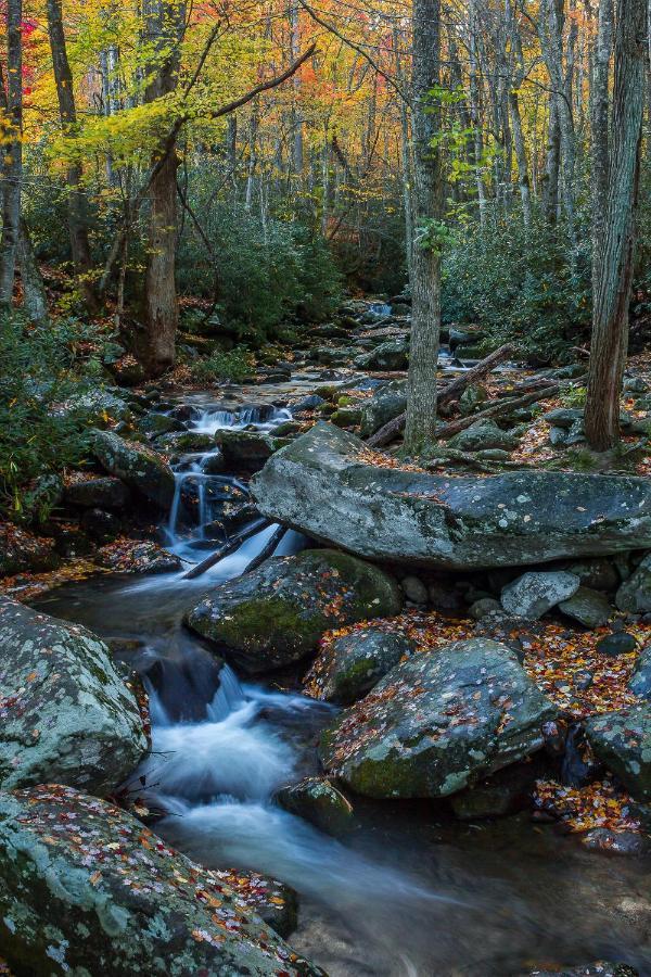 Bluebearry Patch Villa Gatlinburg Bagian luar foto