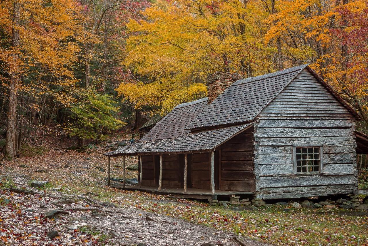 Bluebearry Patch Villa Gatlinburg Bagian luar foto